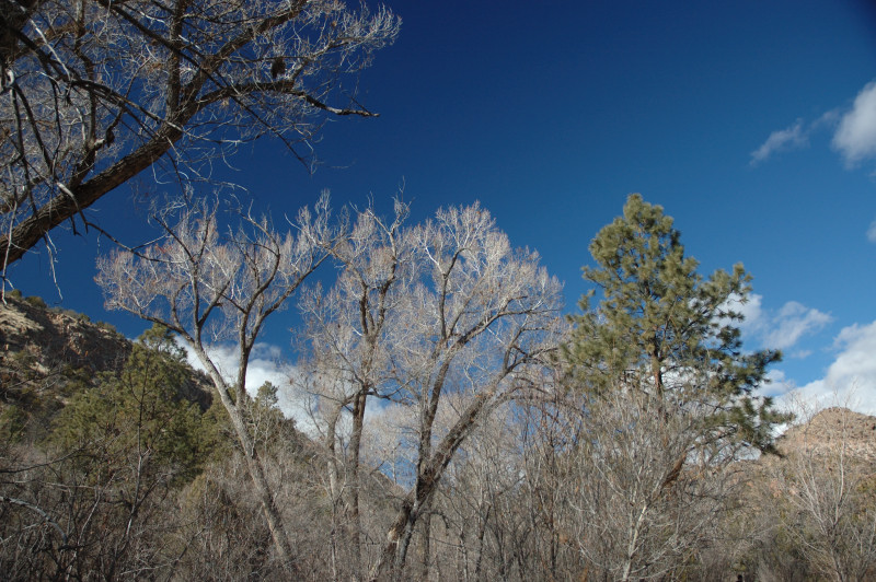 DSC_00110053.JPG