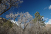 DSC_00110053.JPG