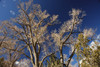 DSC_00150054.JPG