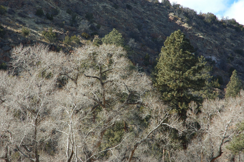 DSC_00270057.JPG