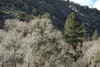 DSC_00270057.JPG