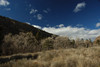 DSC_00290058.JPG