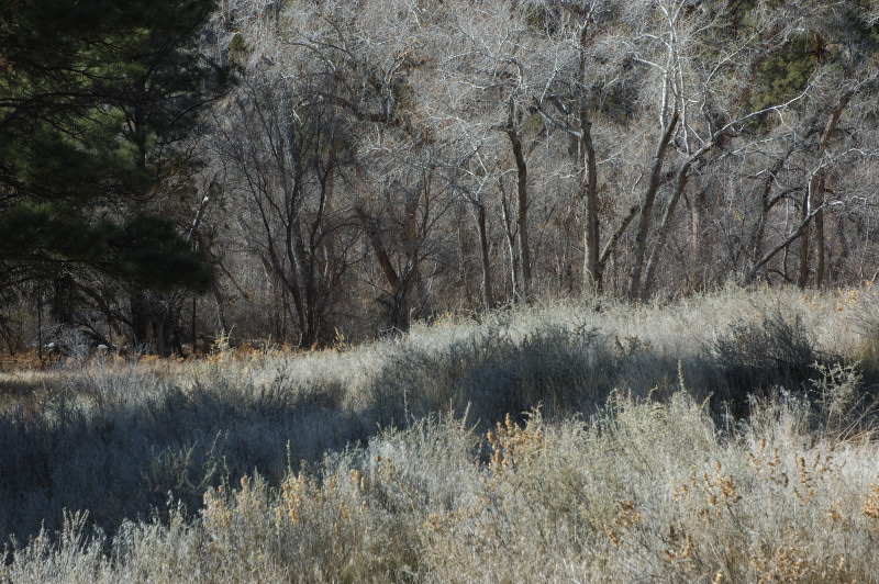 DSC_00300059.JPG