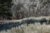 DSC_00300059.JPG