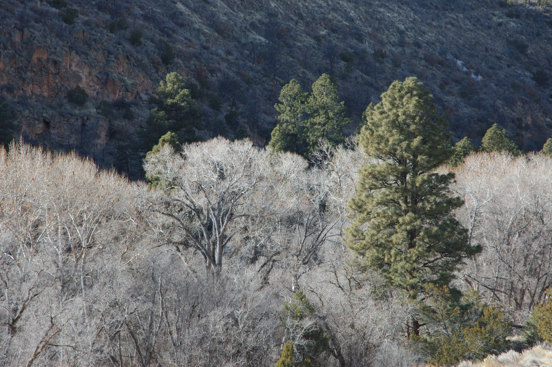 DSC_00740069.JPG