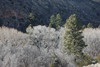 DSC_00740069.JPG