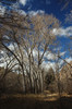 DSC_00760070.JPG