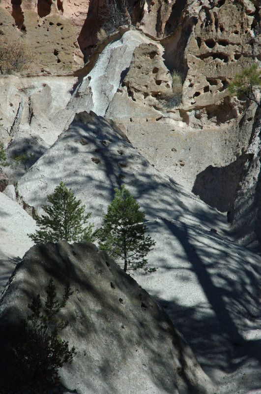 DSC_00900071.JPG