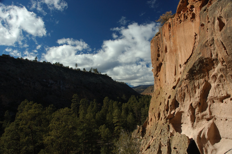 DSC_01000073.JPG