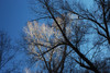 DSC_01170075.JPG