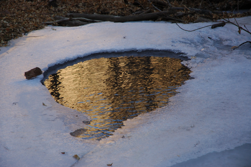 DSC_01180076.JPG