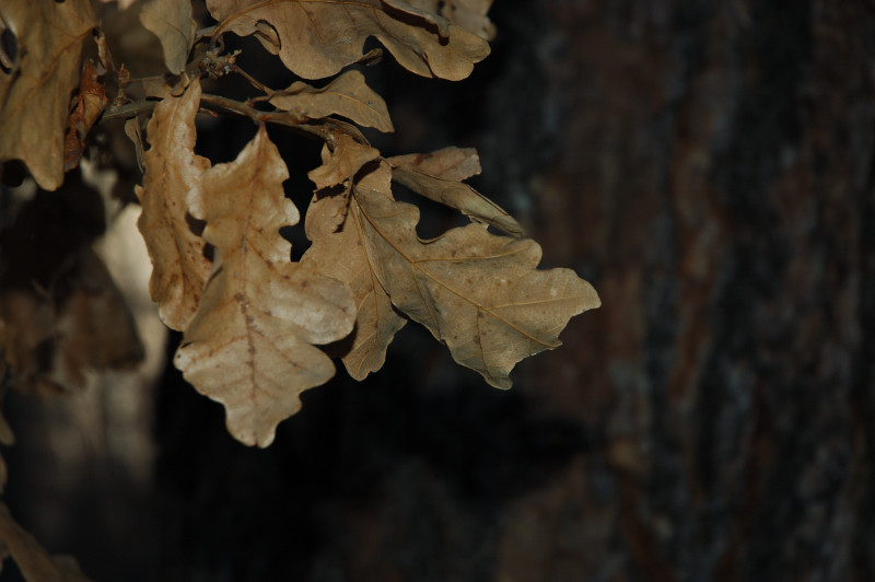 DSC_01200077.JPG