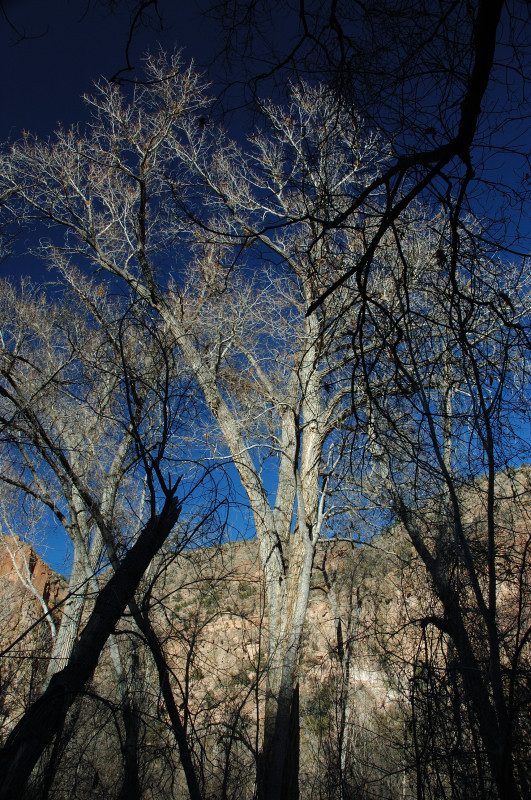 DSC_01240078.JPG