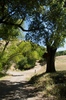 2010-06-26_10-36-22_DSC_0187.jpg