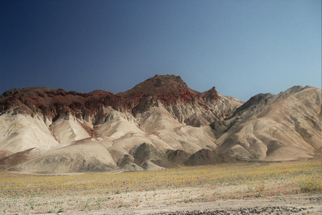 _0a_0460.JPG