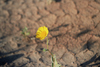 _26_0371.JPG