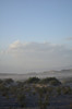 2009-03-21_18-33-29_DSC_0095.JPG