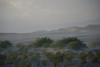 2009-03-21_18-38-25_DSC_0033.JPG
