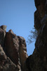 2009-03-22_13-20-06_DSC_0069.JPG