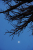 DSC_0028.JPG