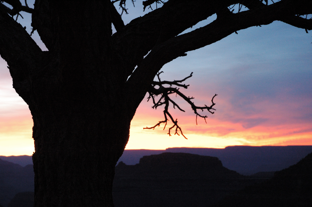 DSC_0035.JPG