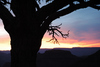 DSC_0035.JPG