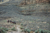 DSC_0071.JPG