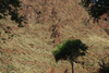 DSC_0140.JPG