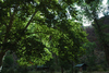 DSC_0149.JPG