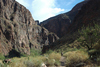DSC_0168.JPG
