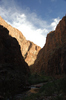 DSC_0179.JPG