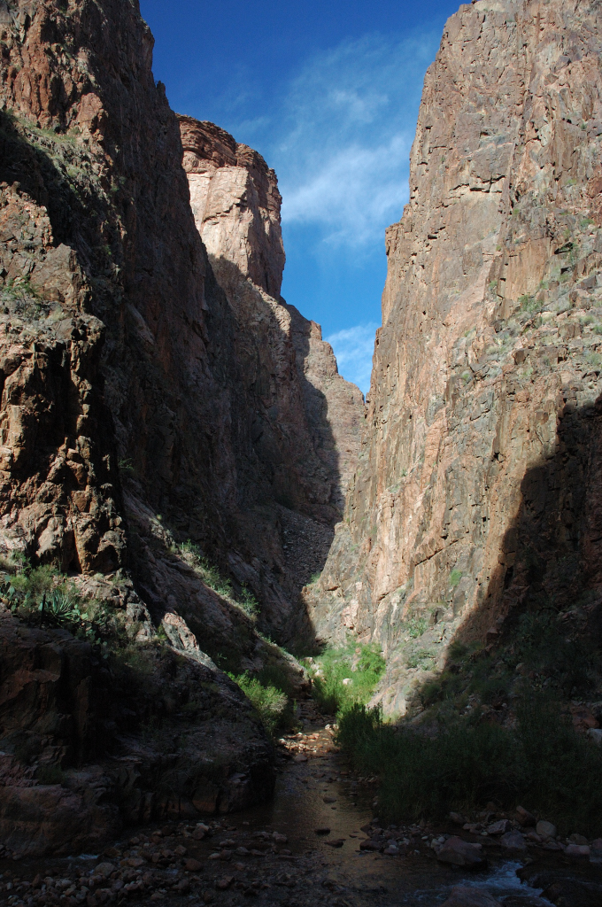 DSC_0197.JPG