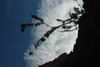 DSC_0218.JPG