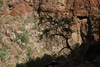 DSC_0227.JPG