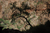 DSC_0228.JPG