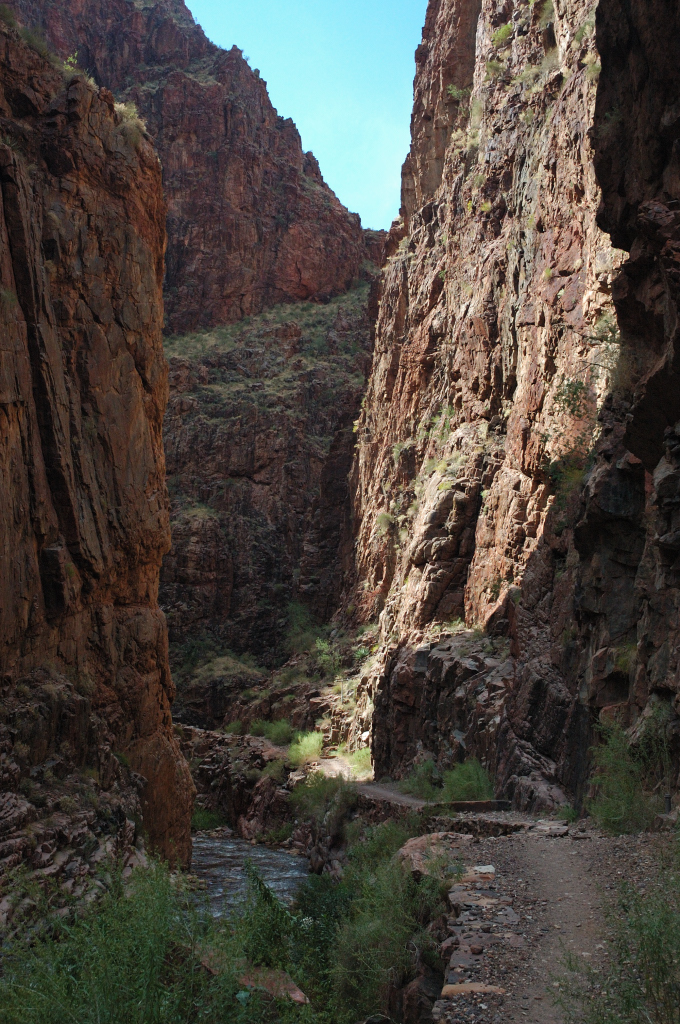 DSC_0244.JPG