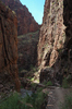 DSC_0244.JPG
