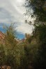 DSC_0277.JPG
