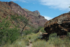 DSC_0278.JPG