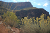 DSC_0291.JPG