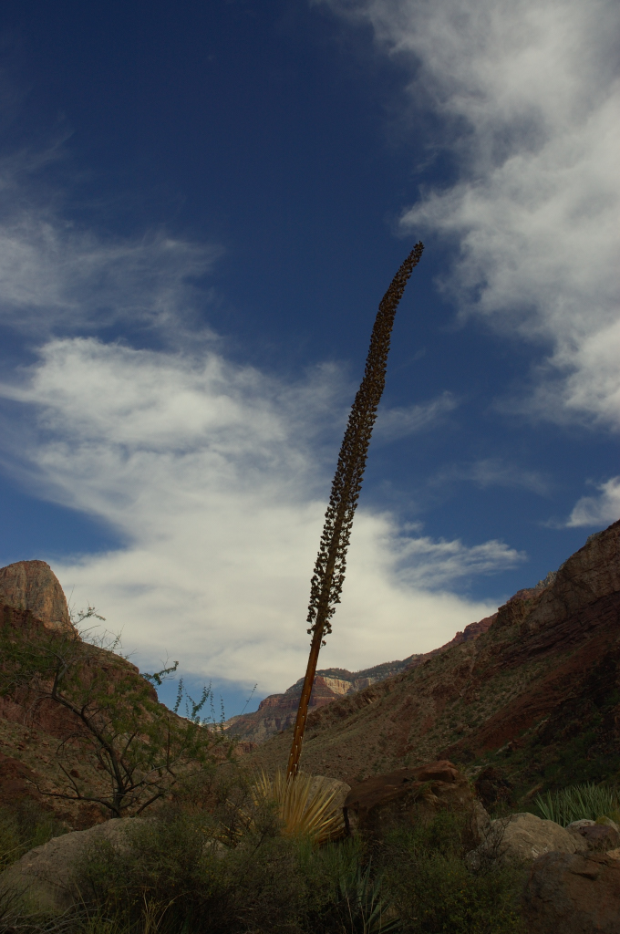 DSC_0299.JPG