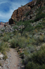 DSC_0345.JPG