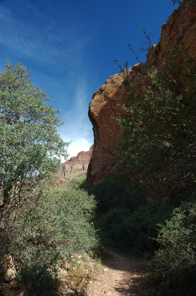 DSC_0347.JPG