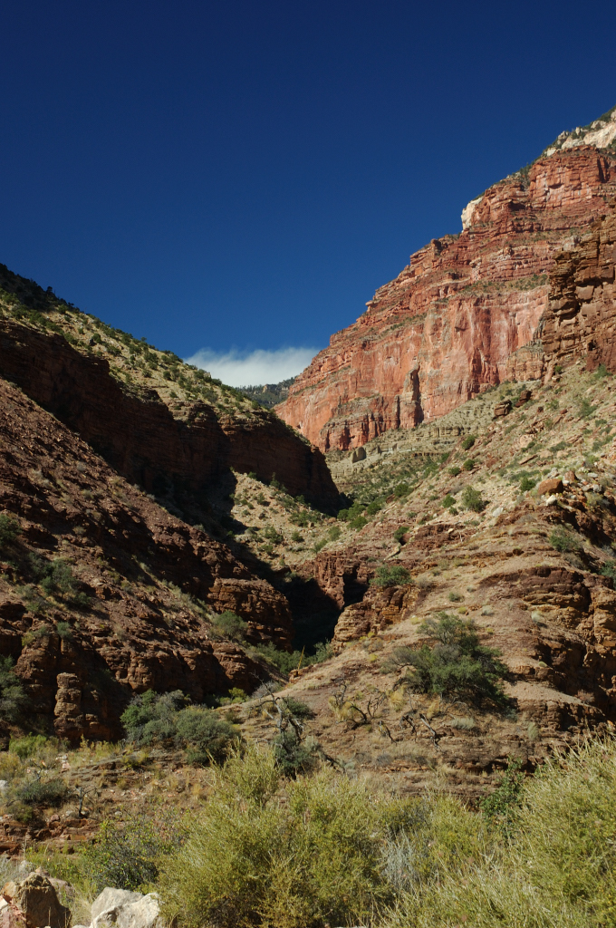 DSC_0364.JPG