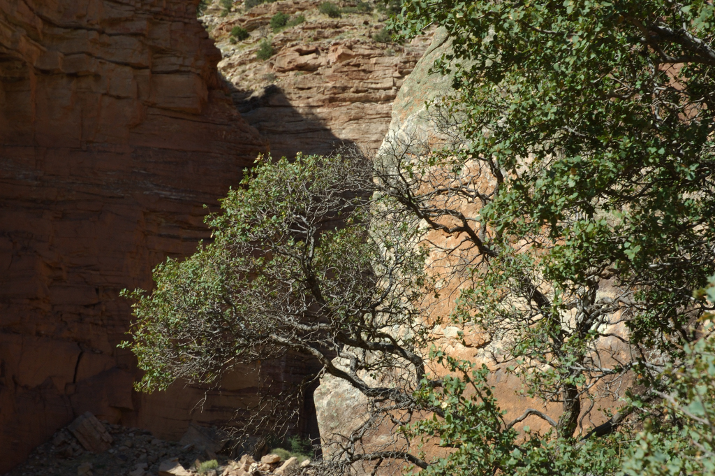 DSC_0391.JPG