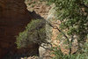 DSC_0391.JPG