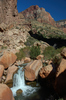 DSC_0398.JPG