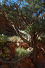 DSC_0413.JPG
