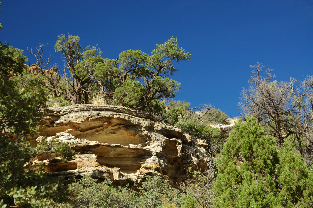 DSC_0415.JPG