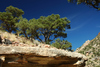 DSC_0416.JPG